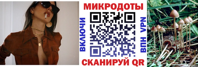 купить  цена  МЕГА как войти  Псилоцибиновые грибы Cubensis  Северо-Курильск 