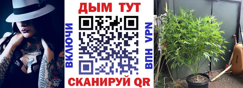 Бошки марихуана гибрид  Северо-Курильск 